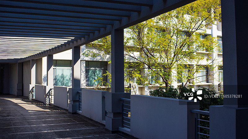 南京晓庄学院秋景图片素材