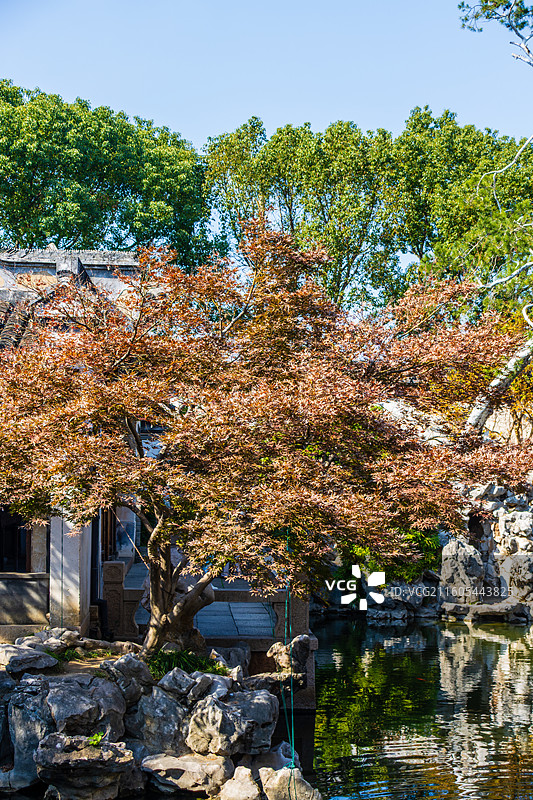 秋，苏州园林同里古镇耕乐堂图片素材