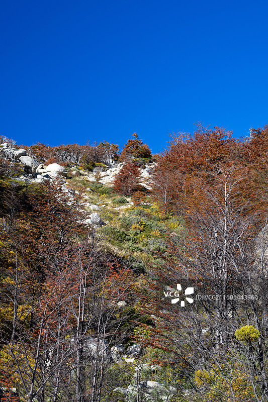 智利，百内国家公园，秋天的百内国家公园图片素材