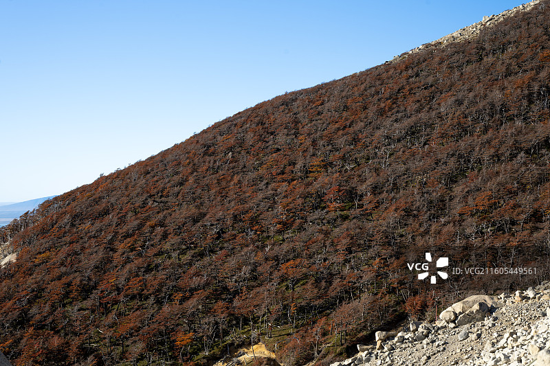 智利，百内国家公园，秋天的百内国家公园图片素材