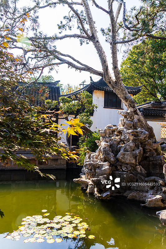 苏州园林，同里古镇耕乐堂秋日风光图片素材