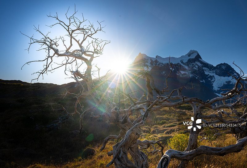 智利，百内国家公园，秋天的百内国家公园图片素材