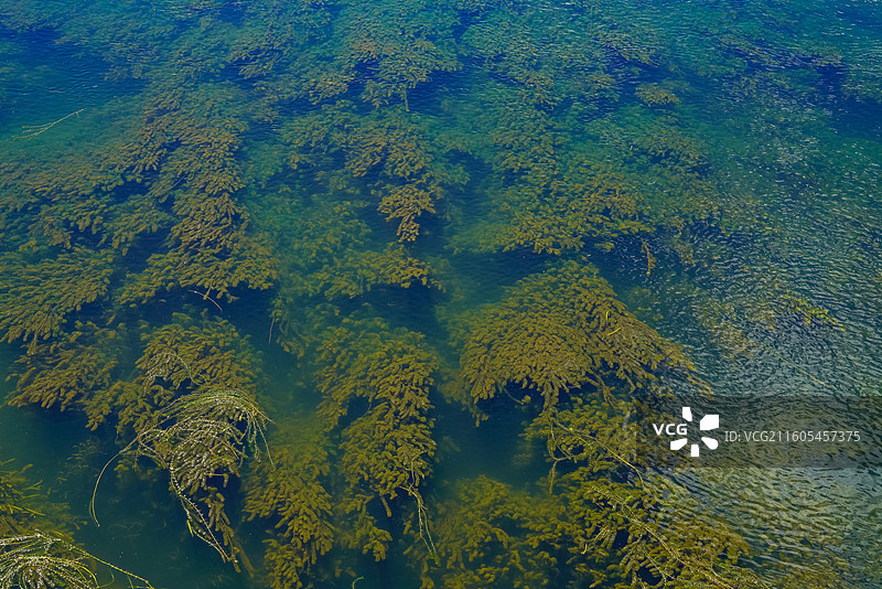 浙江省丽水市，莲都区，大港头镇，古堰画乡旅游度假区图片素材