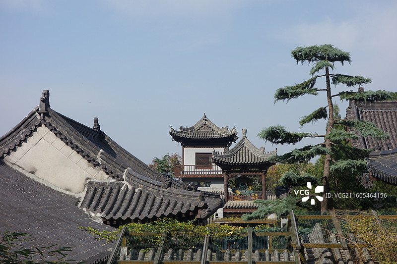 陕西省西安市长安区古观音禅寺银杏秋景：浸月亭图片素材