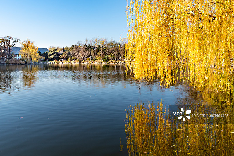 燕园风景：秋天北京大学未名湖图片素材