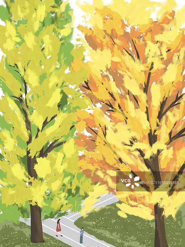 金叶秋意浓图片素材