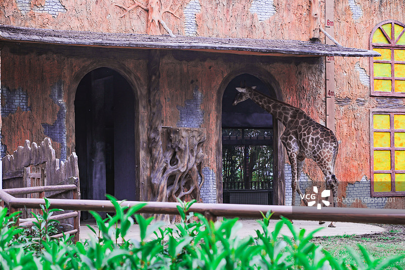 扬州市茱萸湾景区图片素材