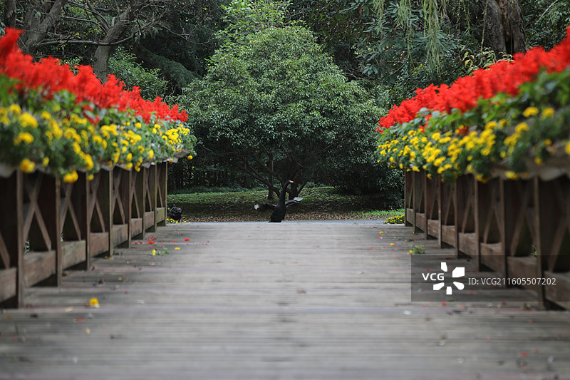 扬州市茱萸湾景区图片素材