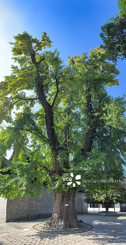 扬州八怪纪念馆图片素材