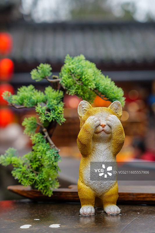 杭州灵隐寺猫咪图片素材