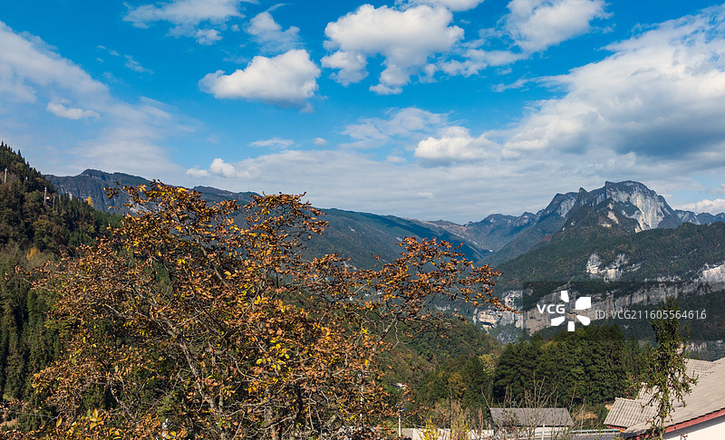 湖北恩施太阳河乡石乳关深秋时节色彩斑斓美如画卷图片素材