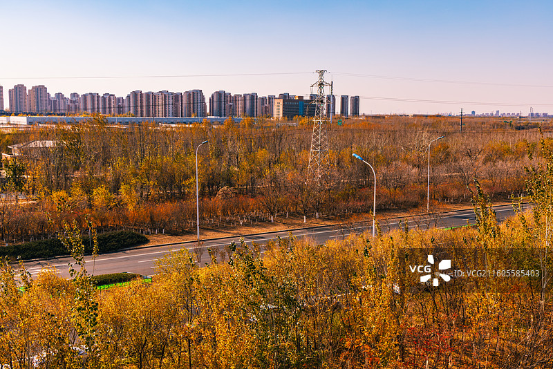 天津华苑城市中心日落秋色图片素材