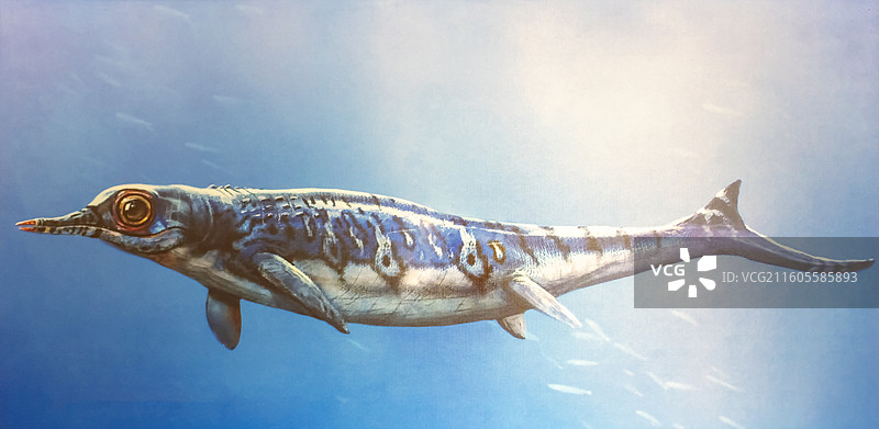 龟山巢湖鱼龙复原图 国家海洋博物馆图片素材