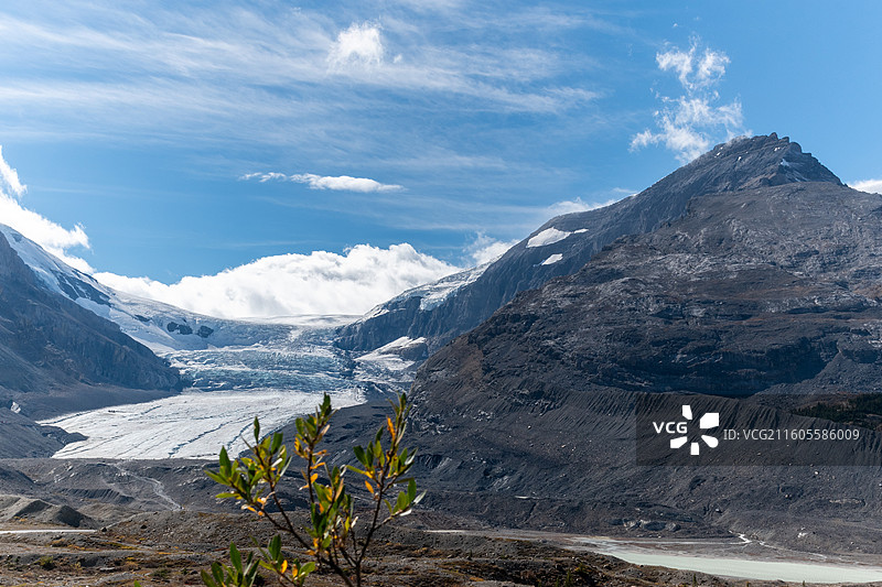 阿萨巴斯卡冰川（Athabasca Glacier ），加拿大贾斯珀图片素材