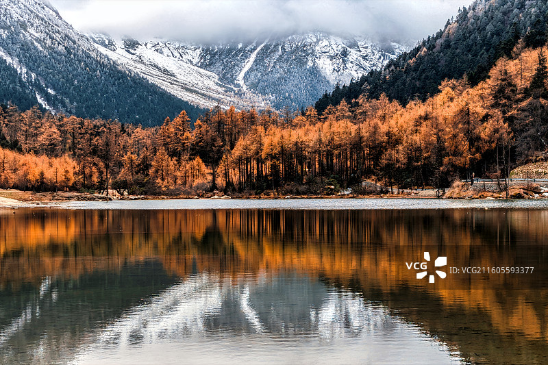 毕鹏秋镜图片素材