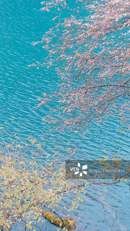 九寨沟秋季绝美秋景和水景图片素材