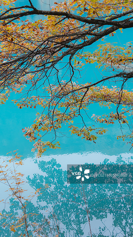 九寨沟秋季绝美秋景和水景图片素材