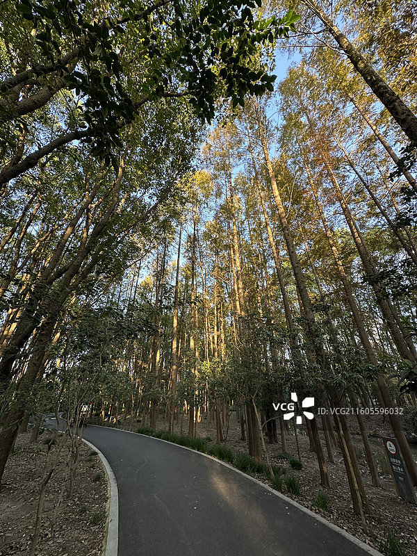 上海汤巷公园图片素材