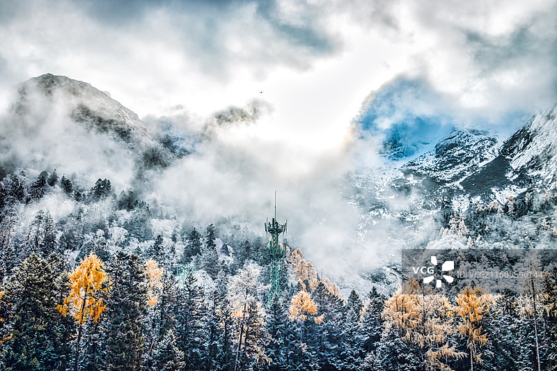 雪林信标图片素材