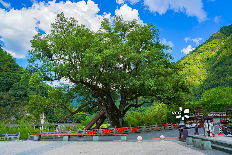 浙江省丽水市，景宁畲族自治县，大均乡，景宁畲族自治县畲乡之窗旅游区，大均古街图片素材