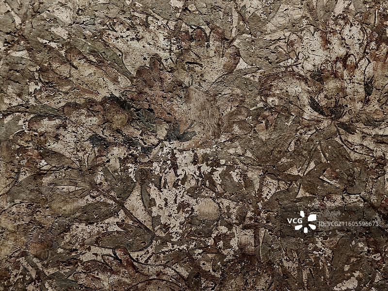 牡丹芦雁图壁画 唐代 1991年北京市海淀区八里庄王公淑墓出土 海淀区博物馆藏图片素材