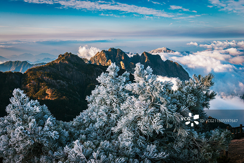 黄山冬日风光图片素材