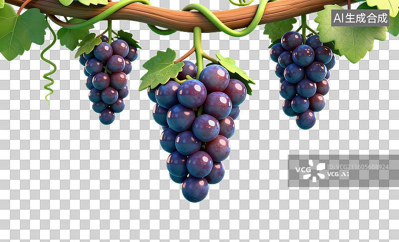 【AI数字艺术】卡通风格，葡萄树上一串串紫色的葡萄PNG格式的免扣元素图片素材