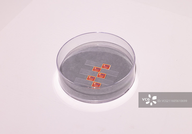 “肺清芯”肺结核病检测微阵列生物芯片 中国国家博物馆图片素材
