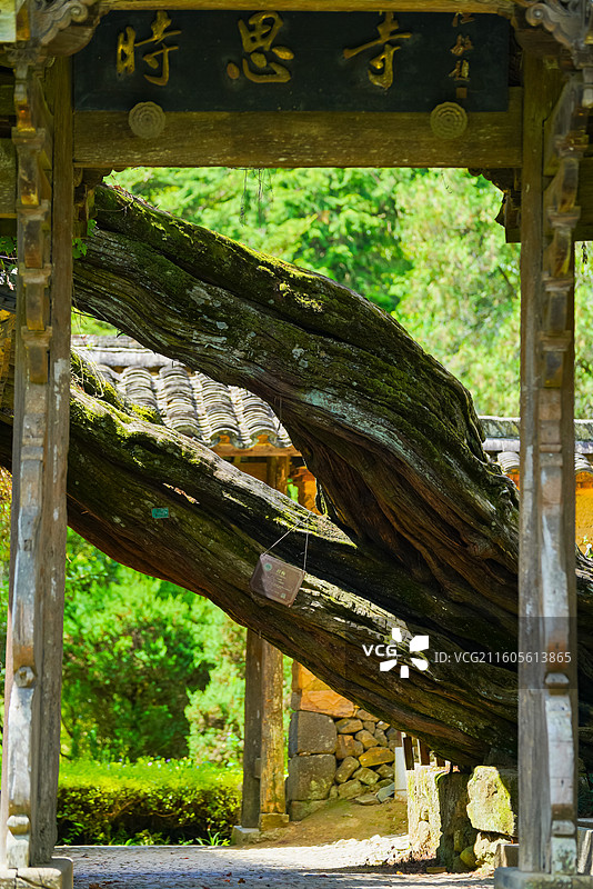 浙江省丽水市，景宁畲族自治县，云中大漈，时思寺图片素材