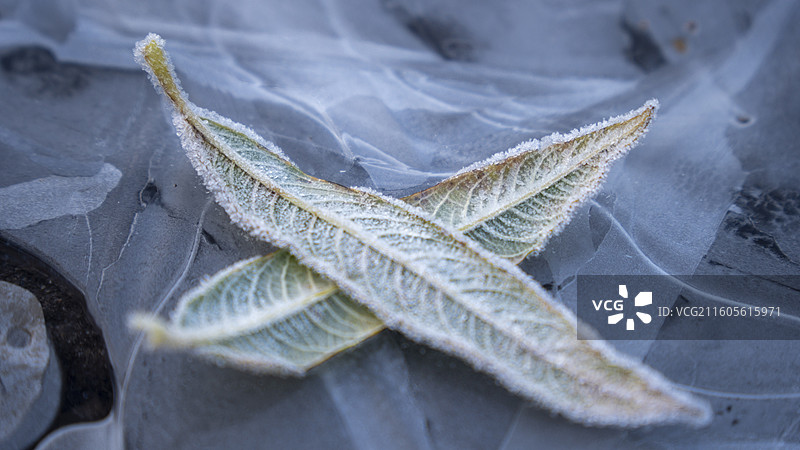 德国冬日早晨的日出建筑风格烟囱和庭院图片素材