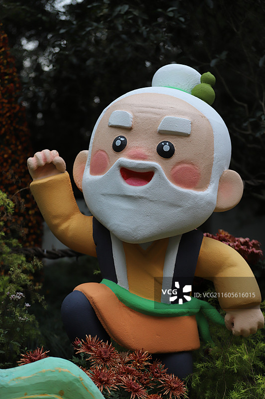 2025年杭州植物园菊花展图片素材