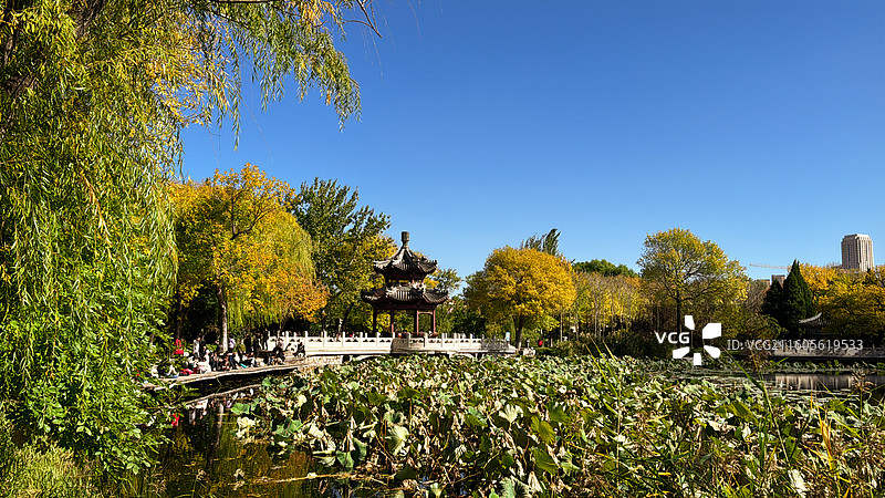 天子北宁公园秋色图片素材