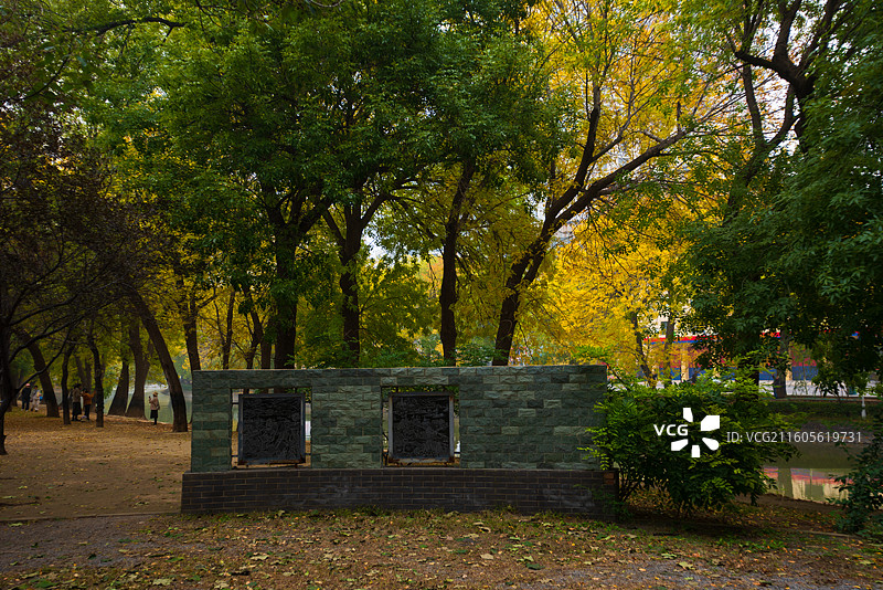 天津南运河秋色图片素材