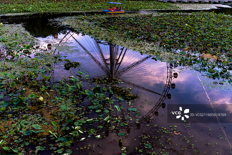 棣花荷塘映摩天，游船划过水墨间图片素材
