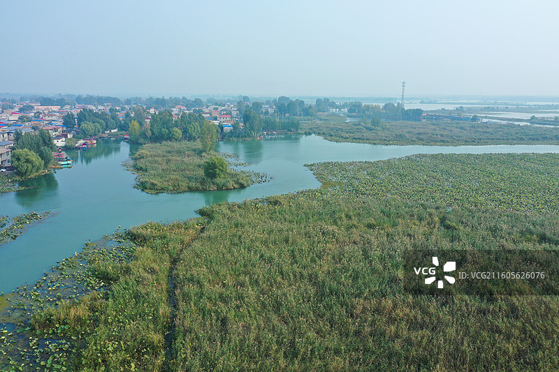 枫红杏黄染秋光，万顷澄波映日长  堤接云霞千里秀，天连芦荻雁飞翔  水城共融丹青卷，山海同舒锦绣章图片素材