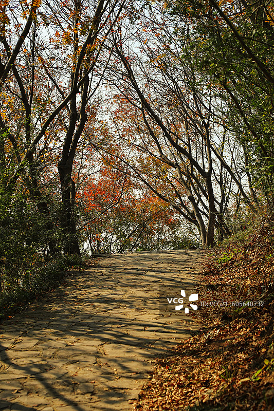 山野秋色图片素材
