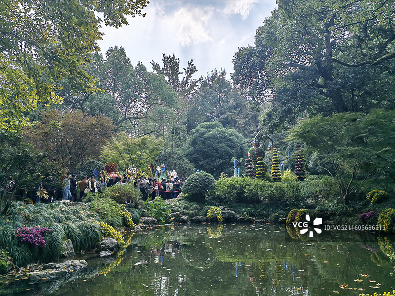 庭院下的菊花图片素材