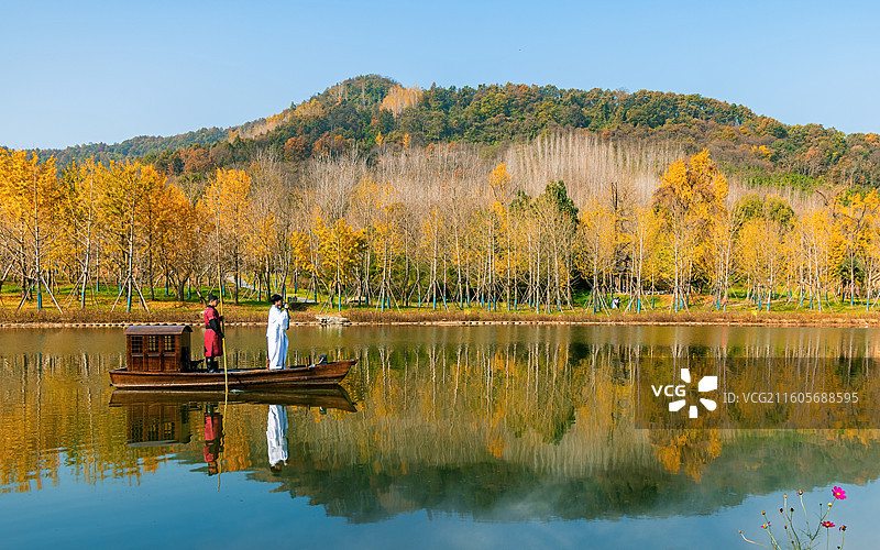 随州千年银杏谷图片素材