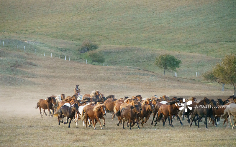 内蒙古赤峰乌兰布统坝上将军泡子万马奔腾秋色日落图片素材