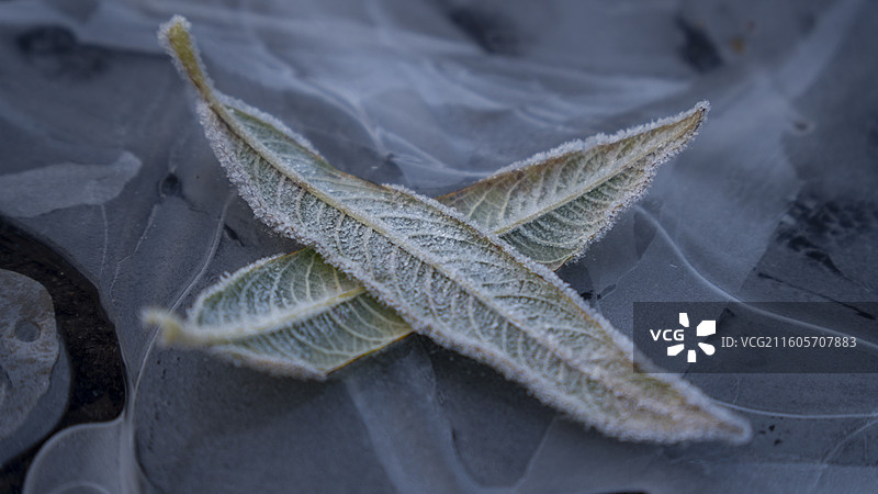 德国冬日早晨的日出建筑风格烟囱和庭院图片素材