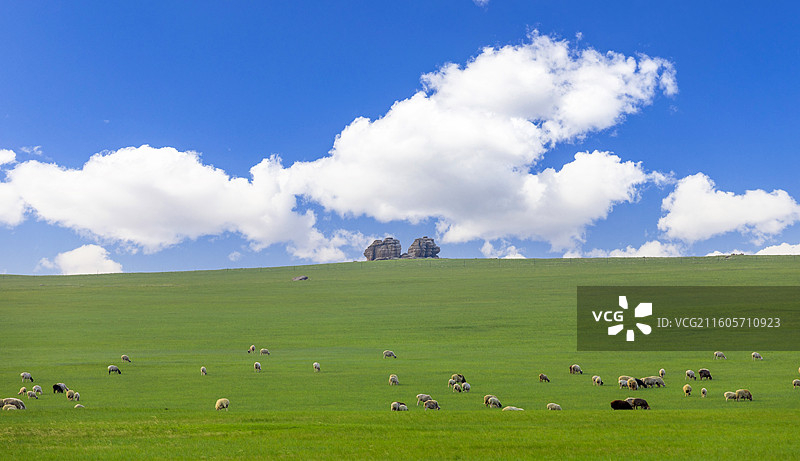内蒙古自治区呼伦贝尔市新巴尔虎右旗呼伦贝尔草原的自然风光图片素材