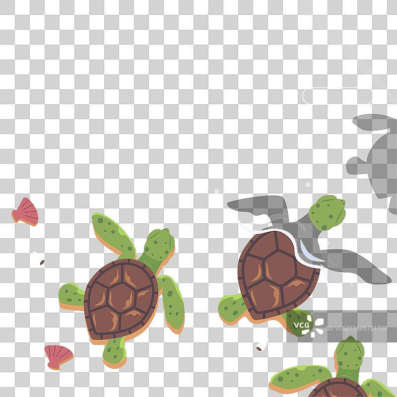 世界海洋日扁平化海洋生物插画图片素材