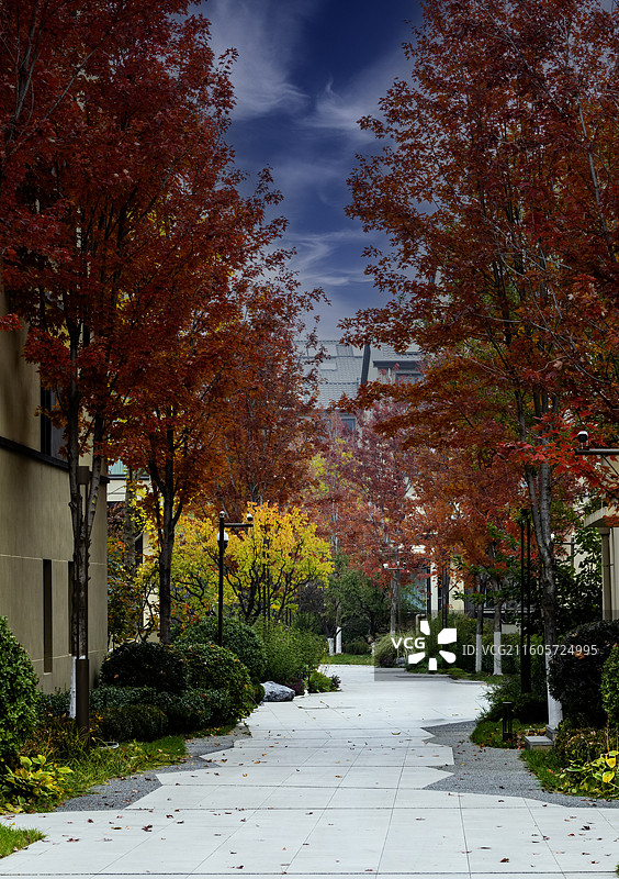 秋天城市中居民小区的环境Autumn图片素材
