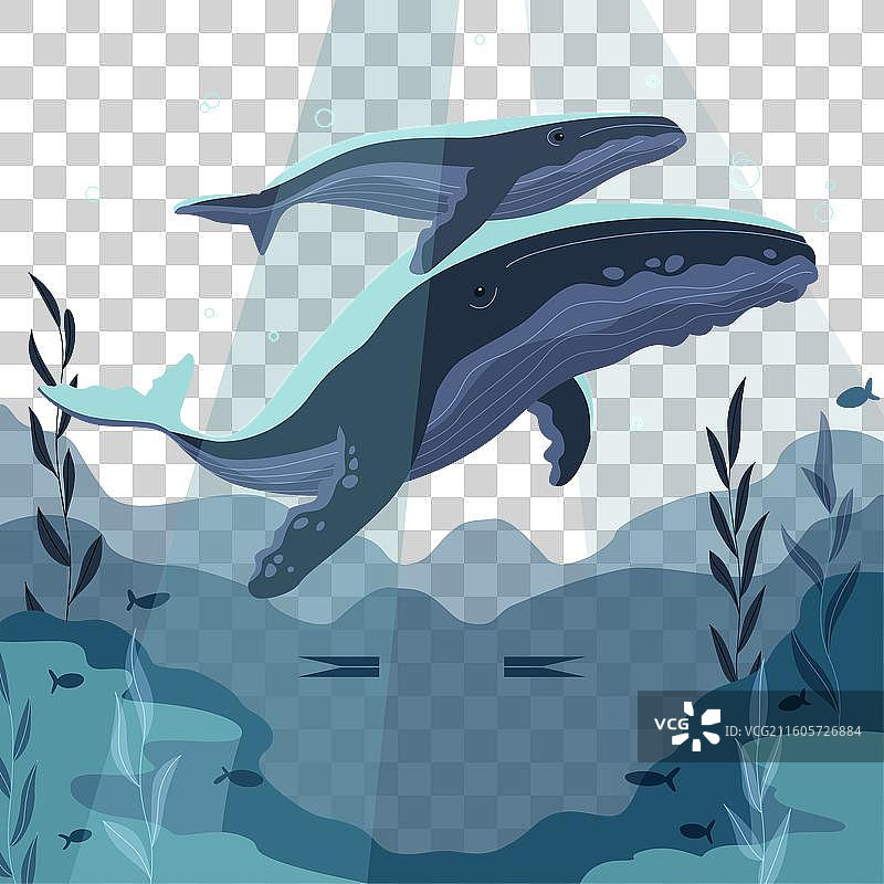 世界海洋日庆祝活动扁平化设计图片素材