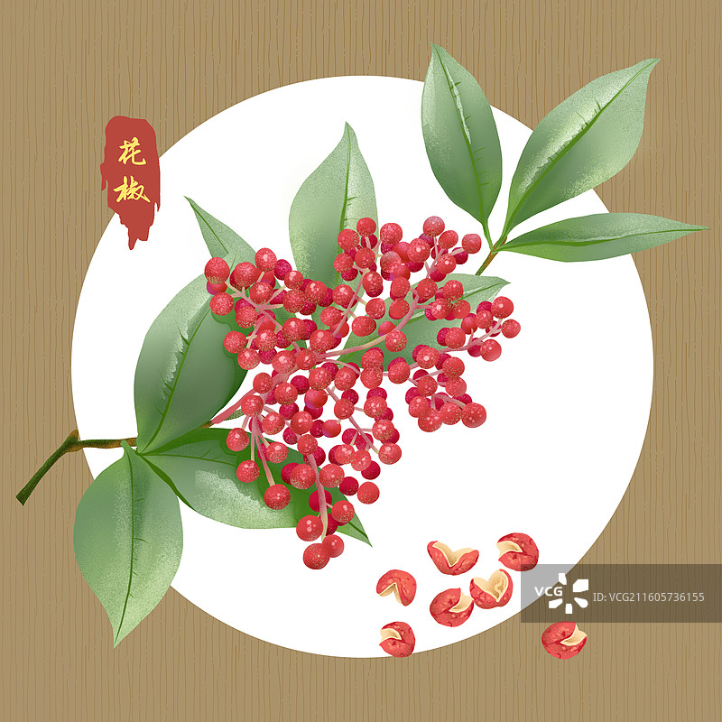 花椒手绘插画图片素材