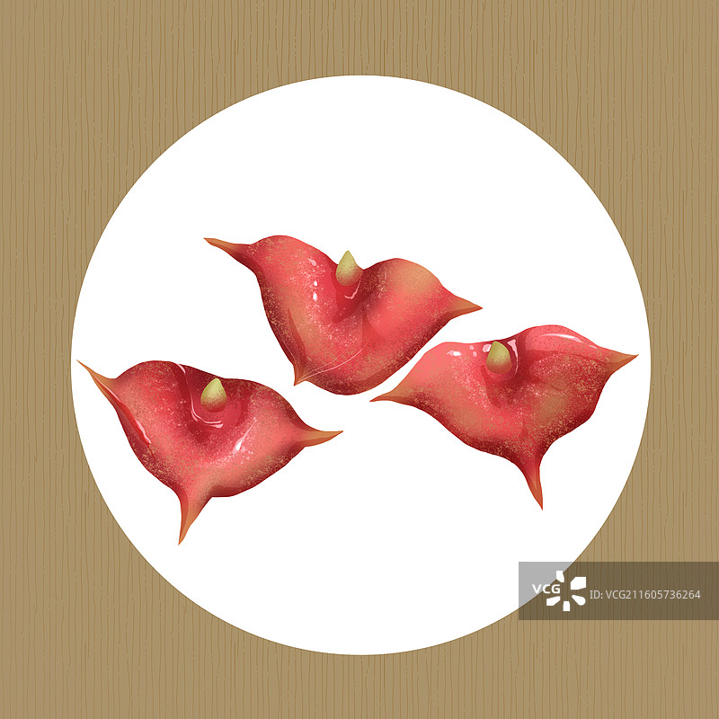 菱角手绘插画图片素材