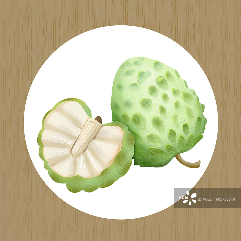 释迦果手绘插画图片素材