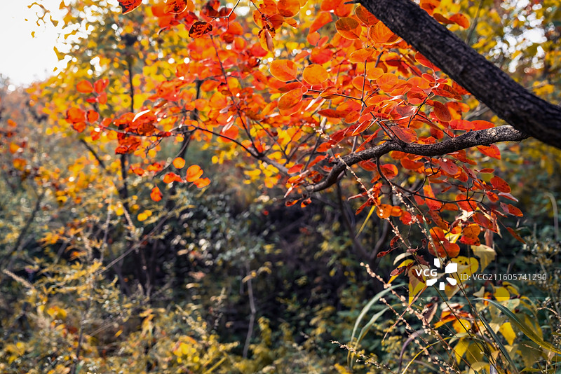 北京坡峰岭图片素材