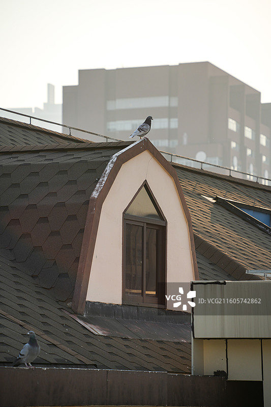 上海市中心外滩商圈宁波路小区居民露台晒台天台生活日常图片素材