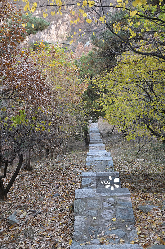 秋天里的山间小路图片素材